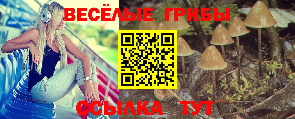 Псилоцибиновые грибы Psilocybe  Вход с VPN  Псилоцибиновые грибы GOLDEN TEACHER  где можно купить   Первоуральск 